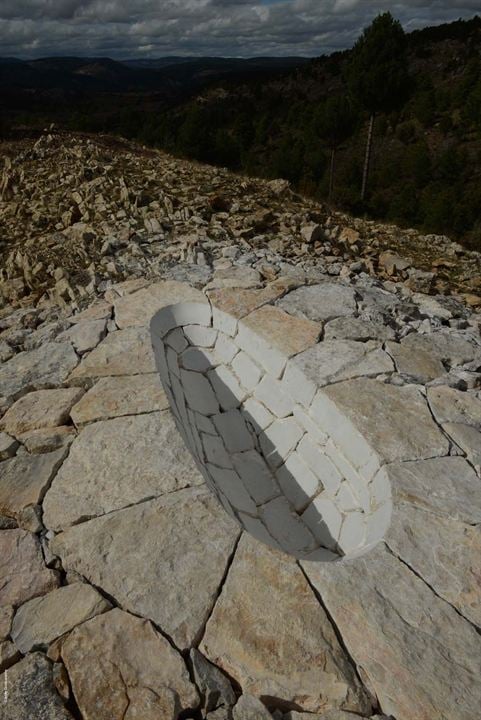 Leaning Into The Wind - Andy Goldsworthy : Bild