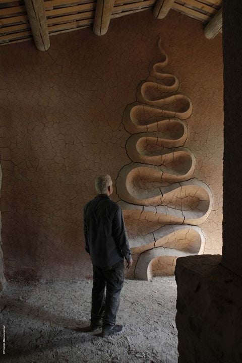 Leaning Into The Wind - Andy Goldsworthy : Bild