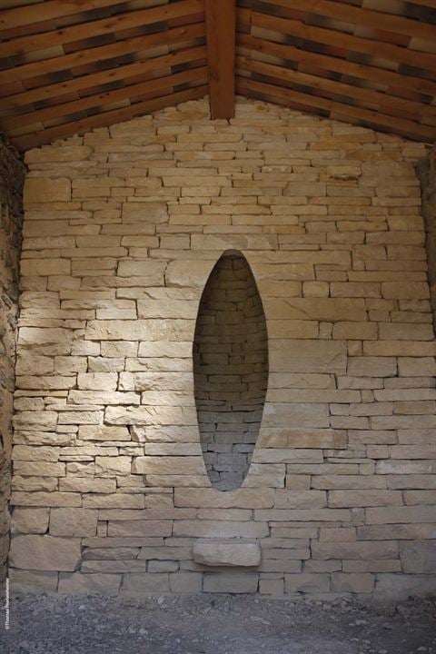 Leaning Into The Wind - Andy Goldsworthy : Bild