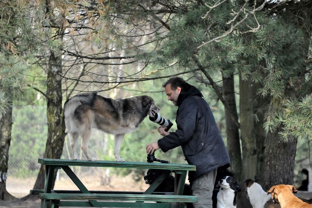 Citizen Animal - A Small Family's Quest for Animal Rights : Bild