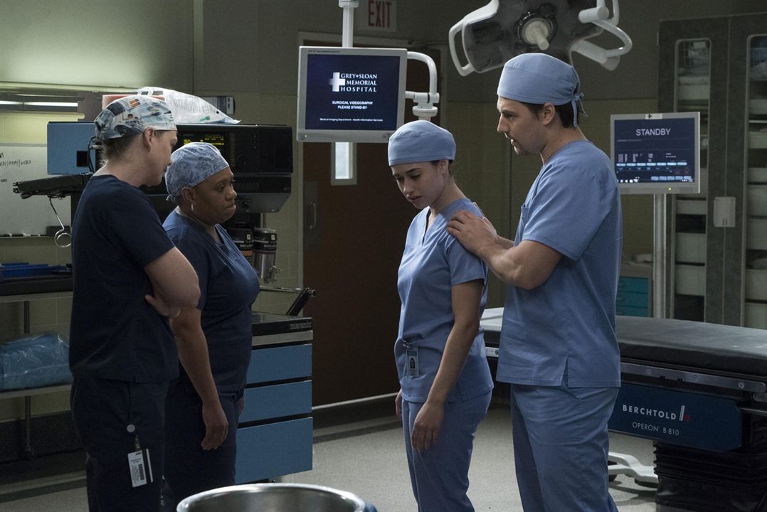Grey's Anatomy - Die jungen Ärzte : Bild Jeanine Mason, Giacomo Gianniotti, Ellen Pompeo, Chandra Wilson