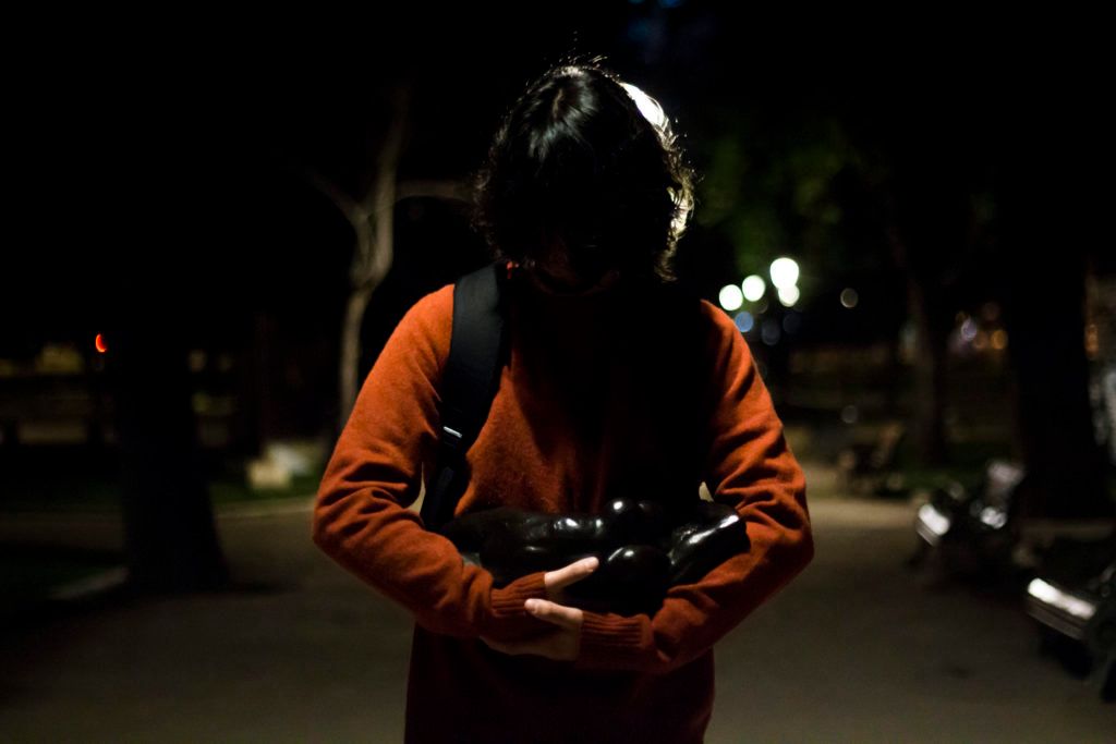 Robar a Rodin : Bild