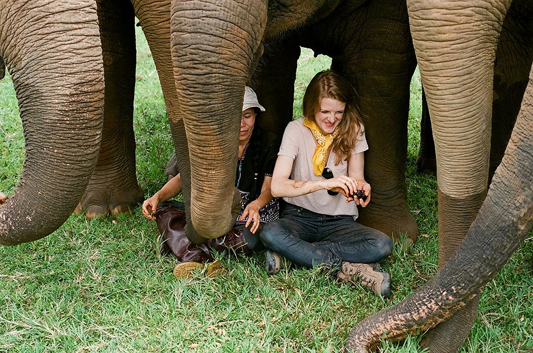 Love & Bananas : Bild