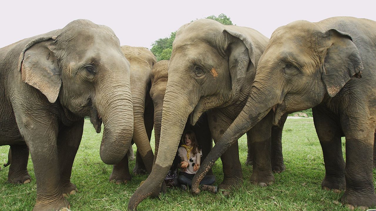 Love & Bananas : Bild