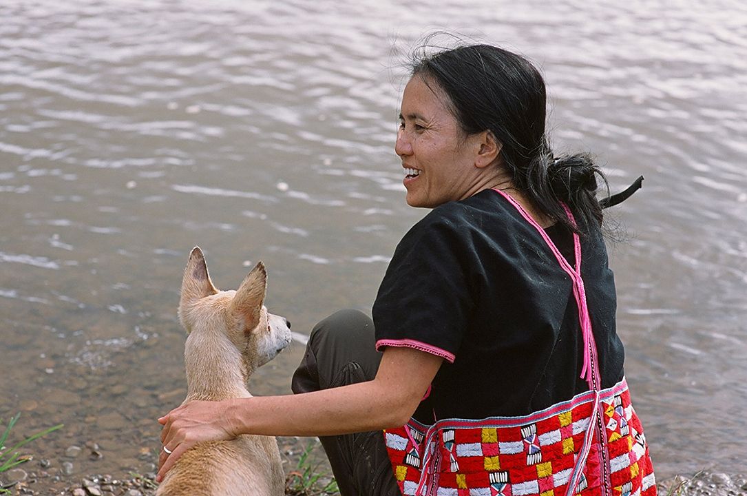 Love & Bananas : Bild