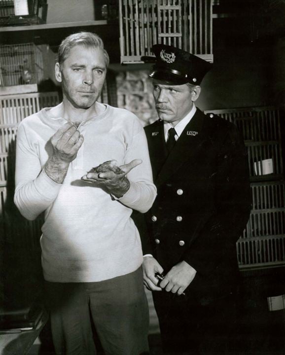 Der Gefangene von Alcatraz : Bild