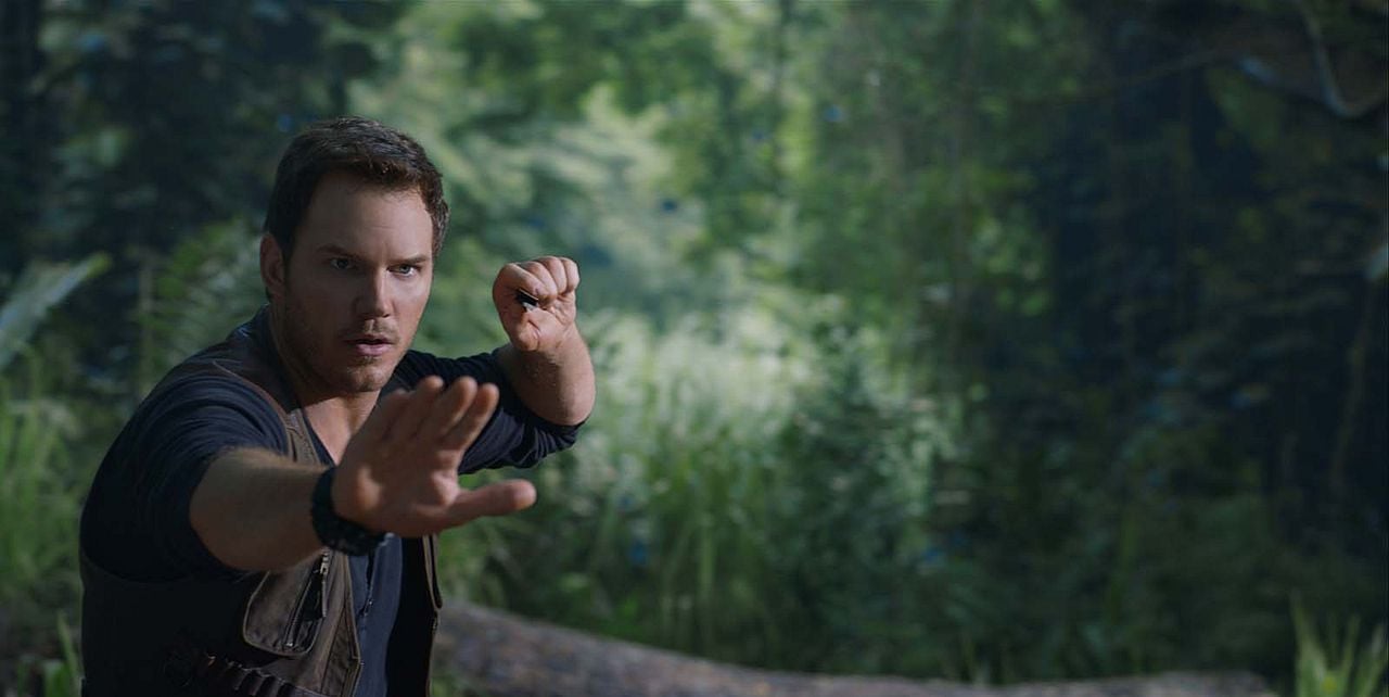 Jurassic World 2: Das gefallene Königreich : Bild Chris Pratt