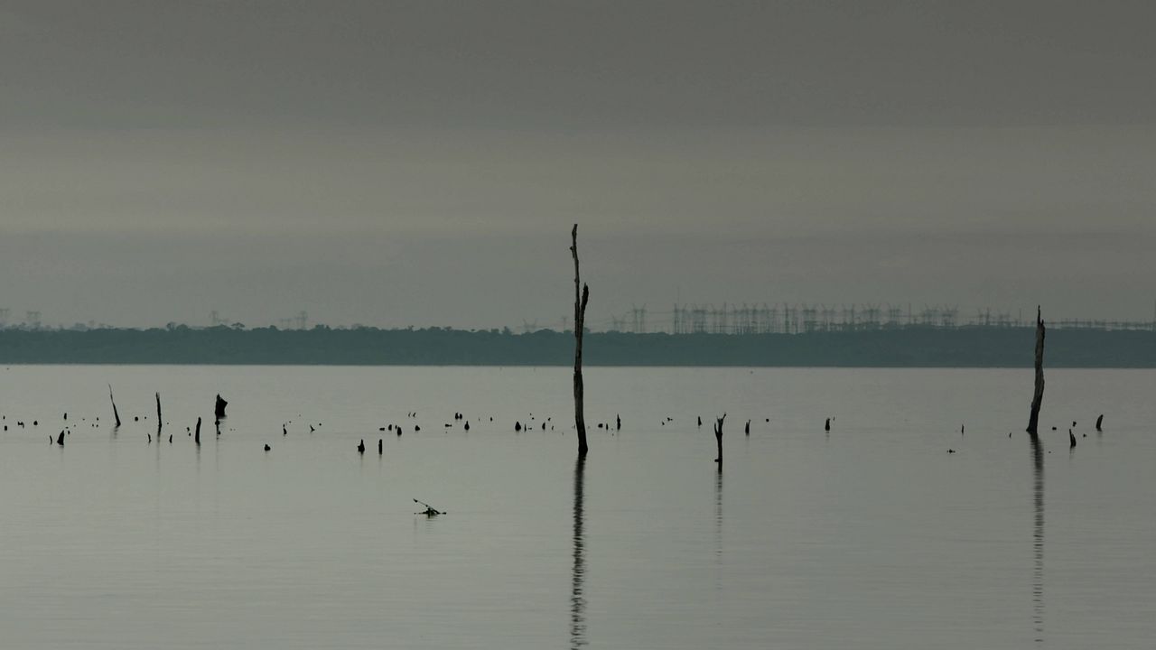 Construindo Pontes : Bild