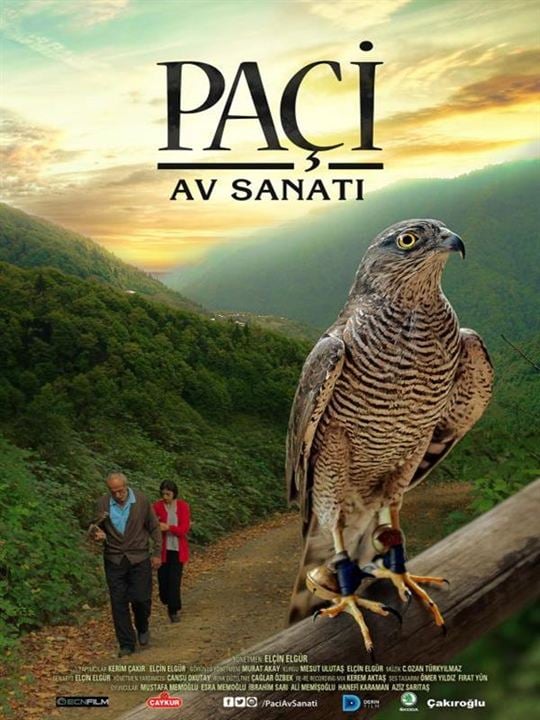 Paçi: Av Sanatı : Kinoposter