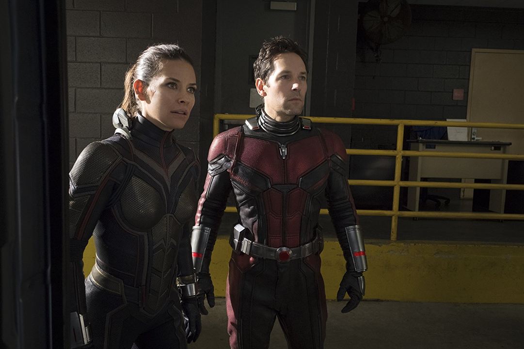 Ant-Man And The Wasp : Bild Evangeline Lilly, Paul Rudd
