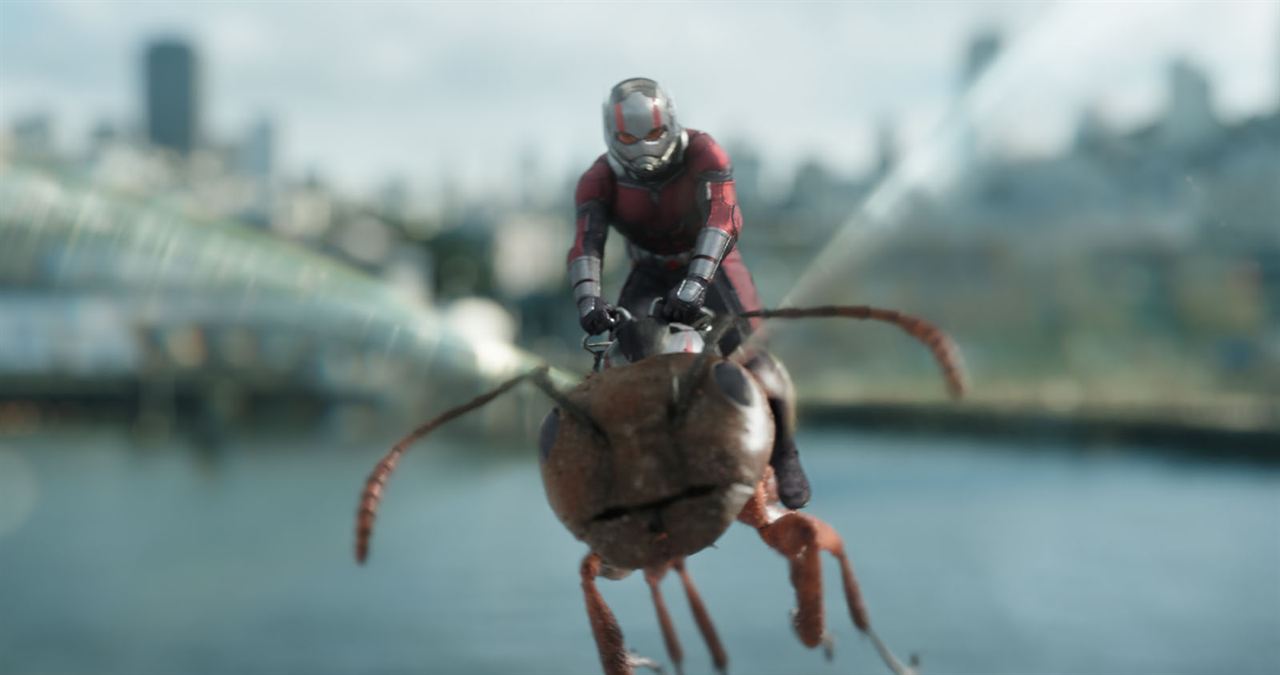 Ant-Man And The Wasp : Bild Paul Rudd