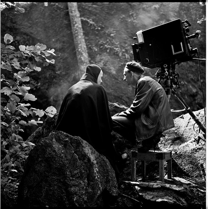 Bergman - A Year in a Life : Bild