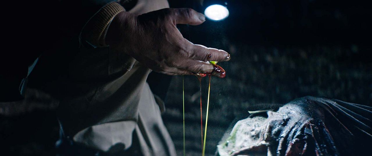 Murder Me, Monster : Bild