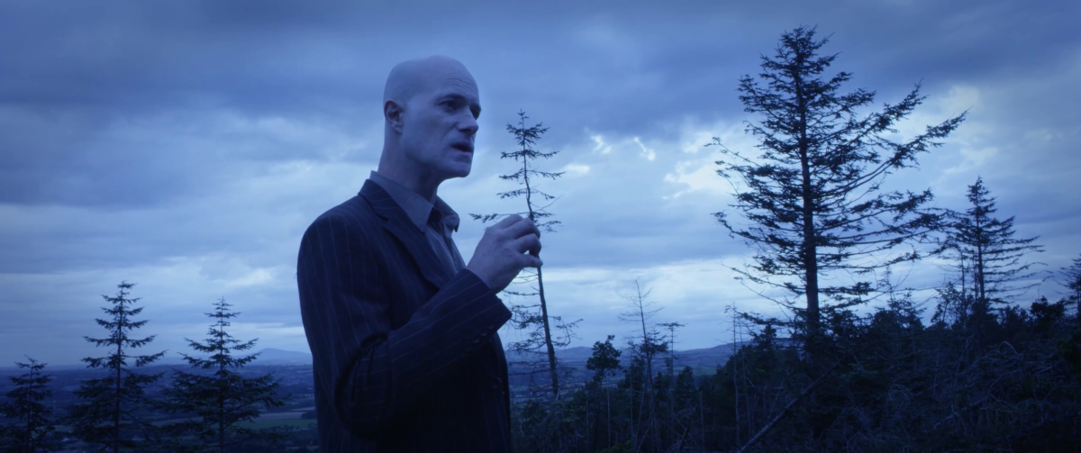 Animal Kingdom : Bild