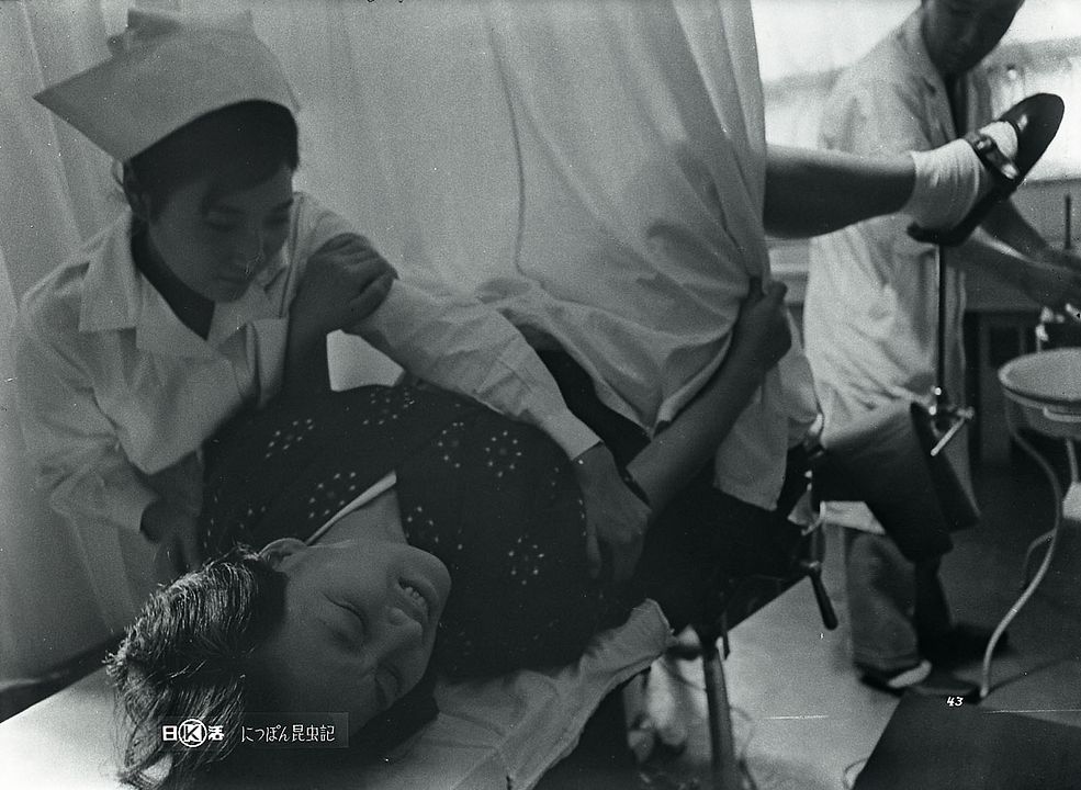 Das Insektenweib : Bild