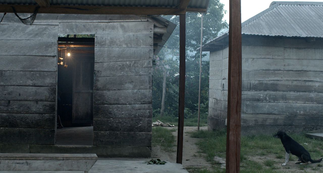 El Maíz en Tiempos de Guerra : Bild