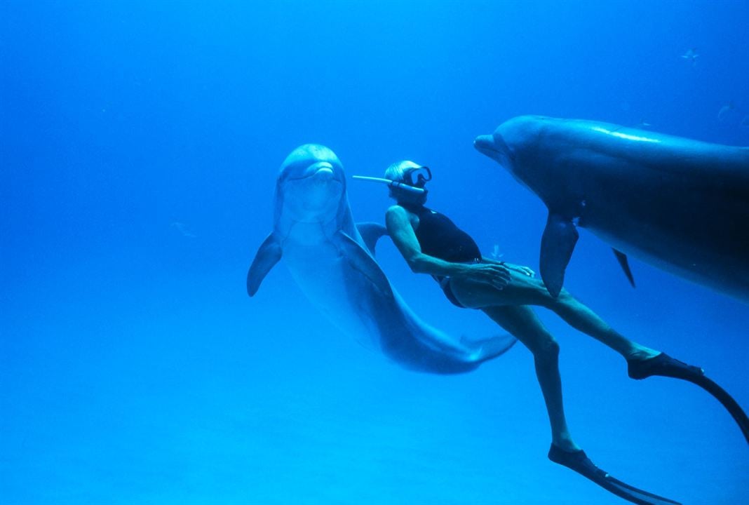 Dolphin Man : Bild
