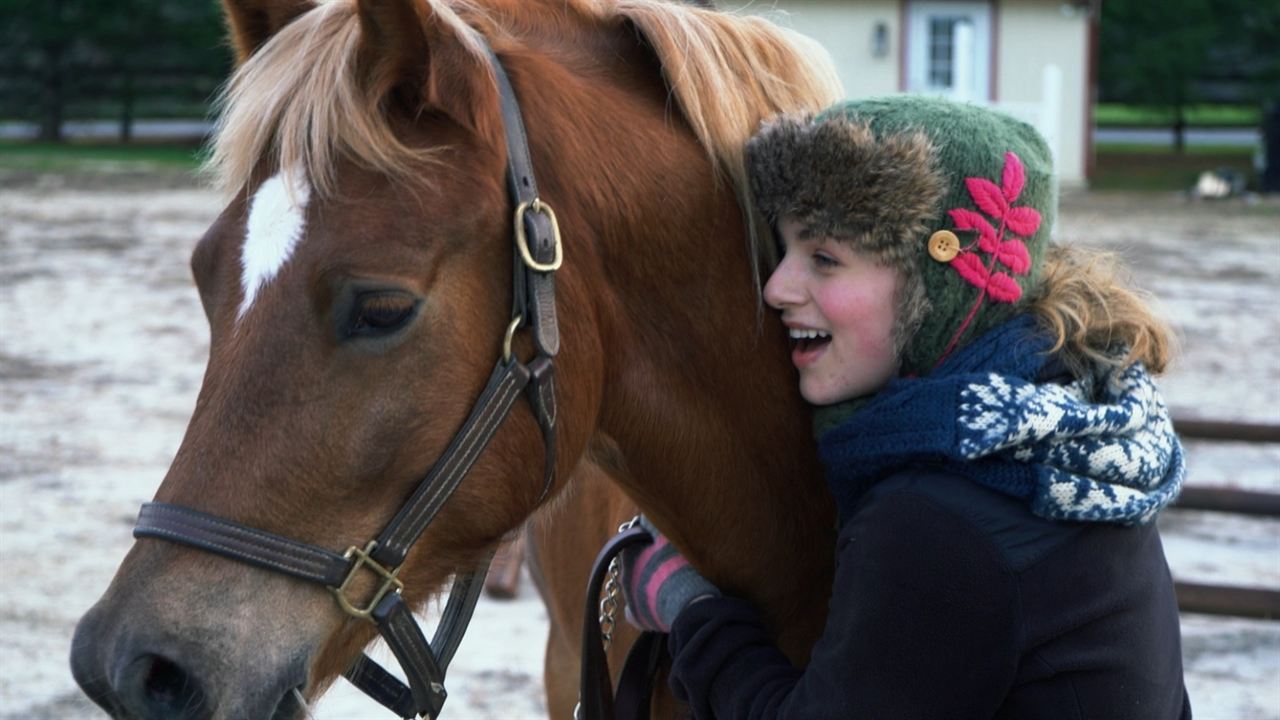 Ein Pferd für Lizzy - Mein Freund fürs Leben : Bild