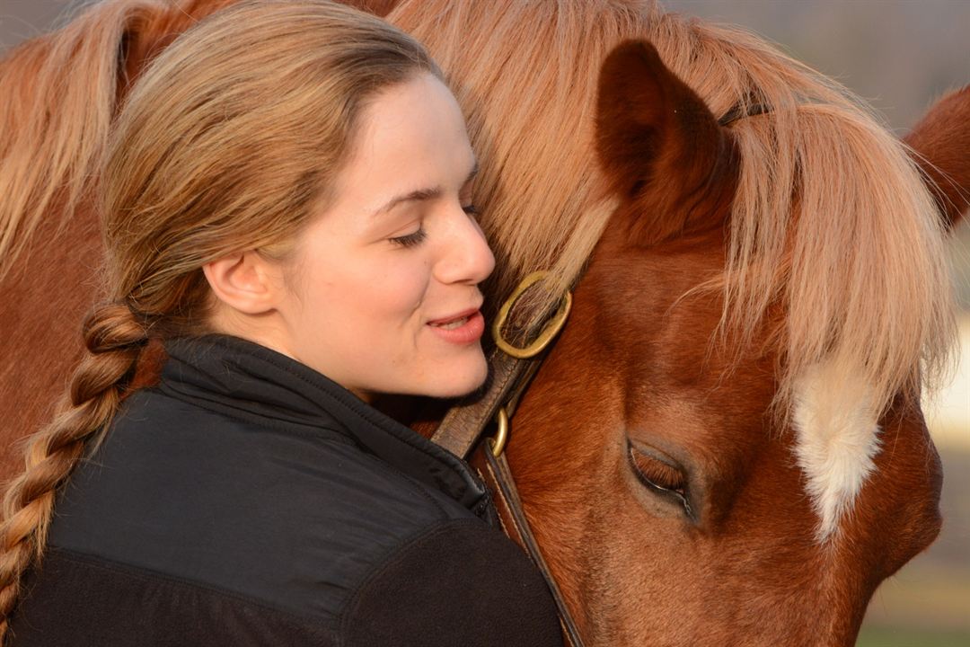 Ein Pferd für Lizzy - Mein Freund fürs Leben : Bild