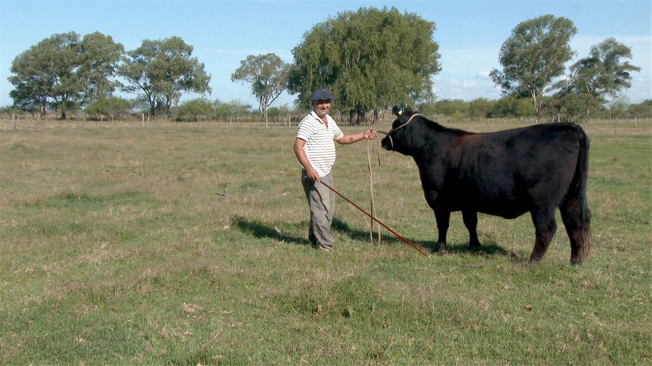 Asado, mein Lieblingsgericht aus Argentinien : Bild