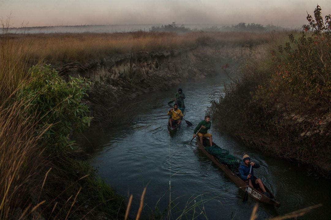 Into the Okavango : Bild