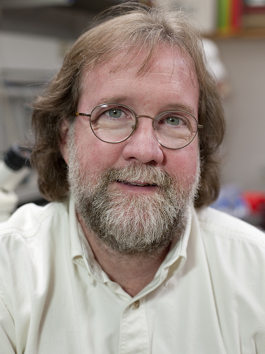 Kinoposter Sean B. Carroll