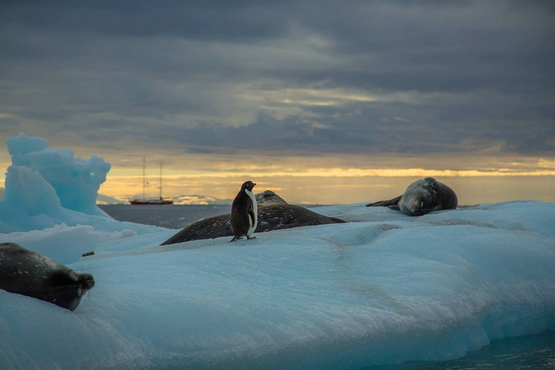 Expedition Infinity - Reise ans andere Ende der Welt : Bild