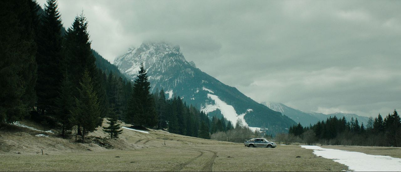 Deep In The Wood : Bild