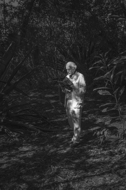 Hilda Hilst Pede Contato : Bild