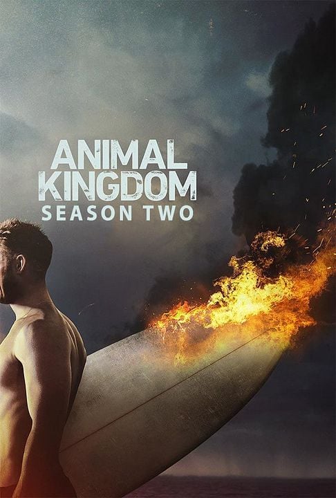 Animal Kingdom : Kinoposter