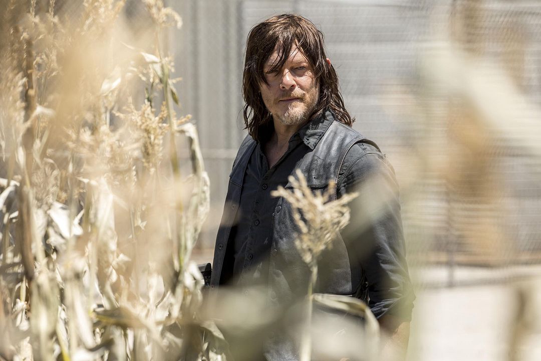 The Walking Dead : Bild Norman Reedus