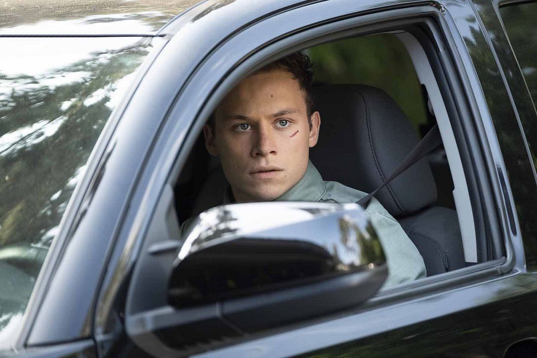 Animal Kingdom : Bild Finn Cole