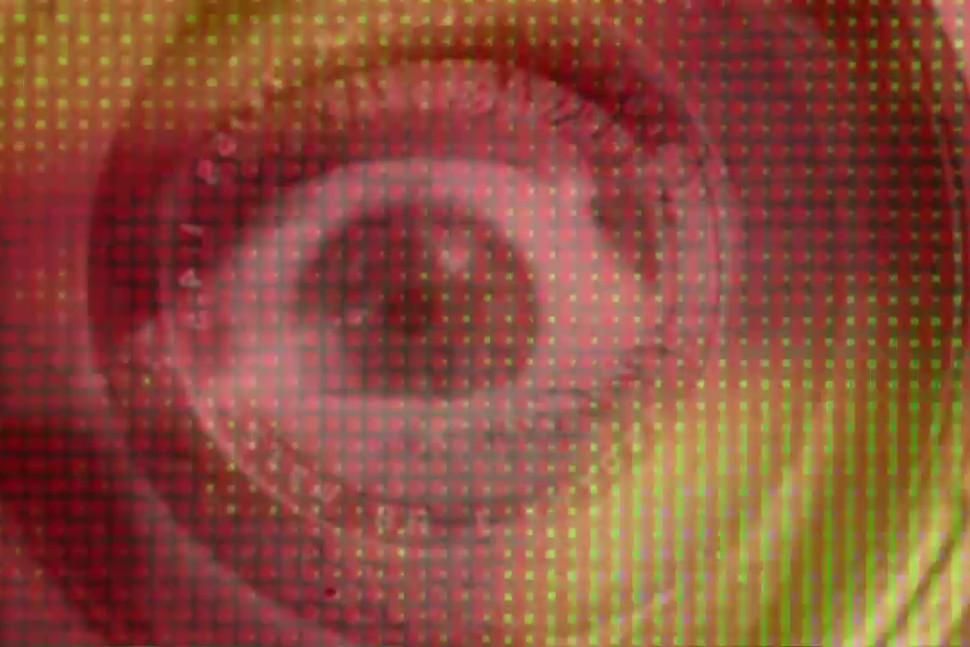 24/25 il Fotogramma in Più : Bild