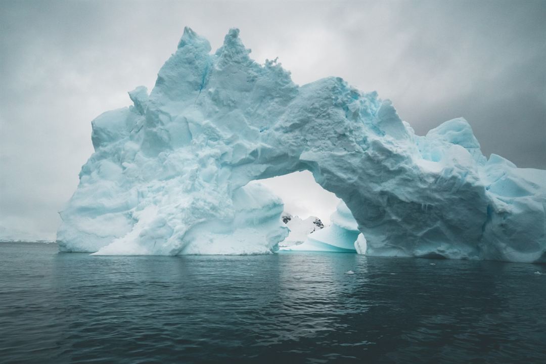 Projekt: Antarktis : Bild