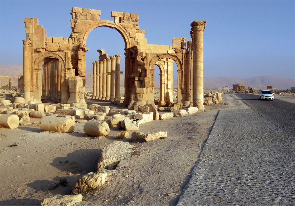 Palmyra : Bild