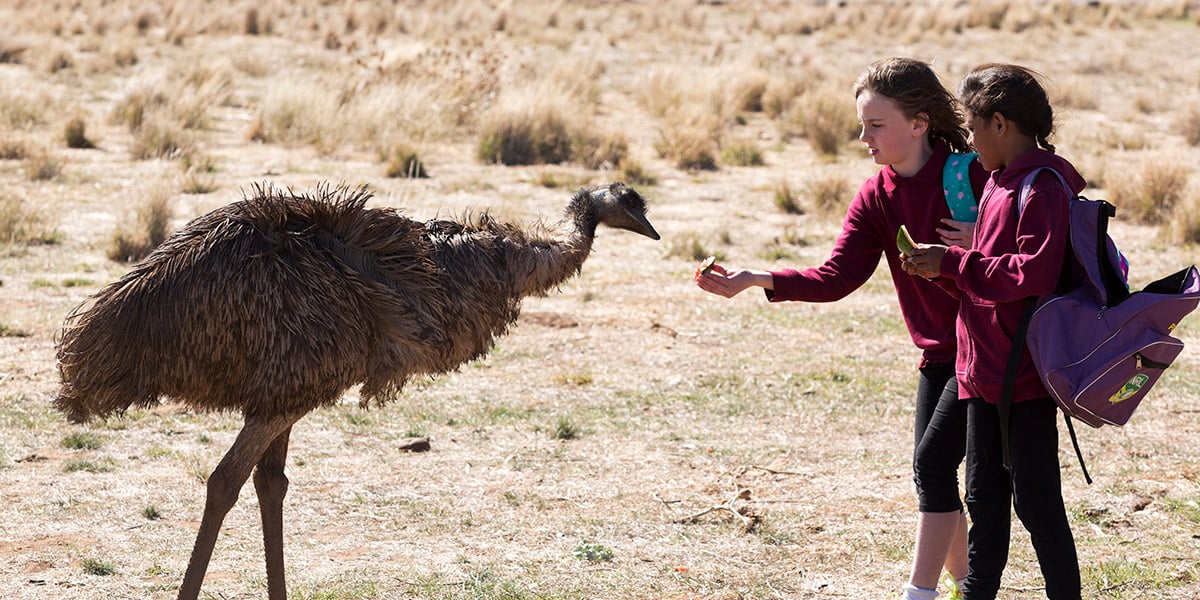 Emu Runner : Bild