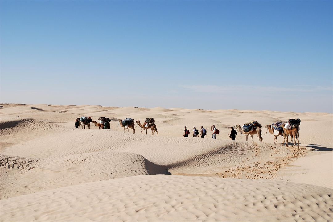 Au-delà du regard, Oser le désert : Bild