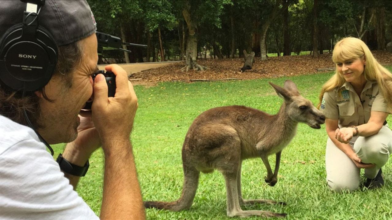 Kangaroo – A Love-Hate Story : Bild