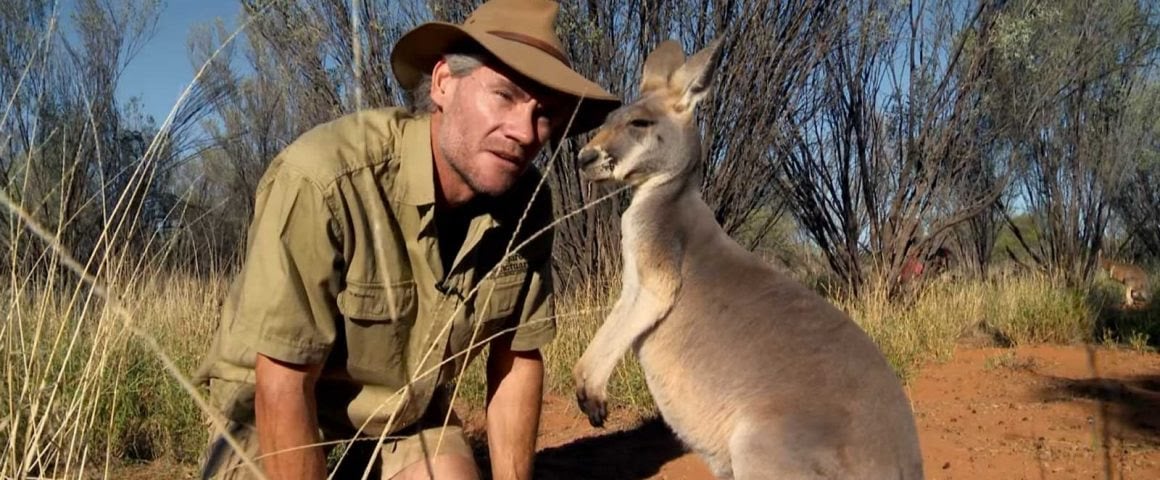 Kangaroo – A Love-Hate Story : Bild