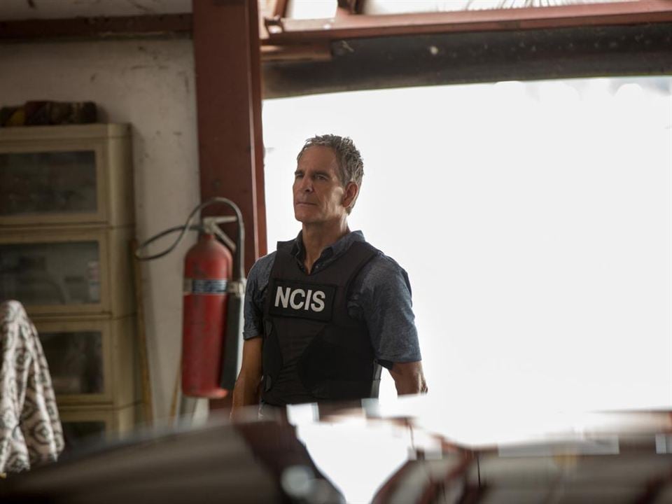 Navy CIS: New Orleans : Bild Scott Bakula