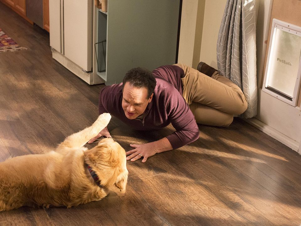 American Housewife (2016) : Bild Diedrich Bader