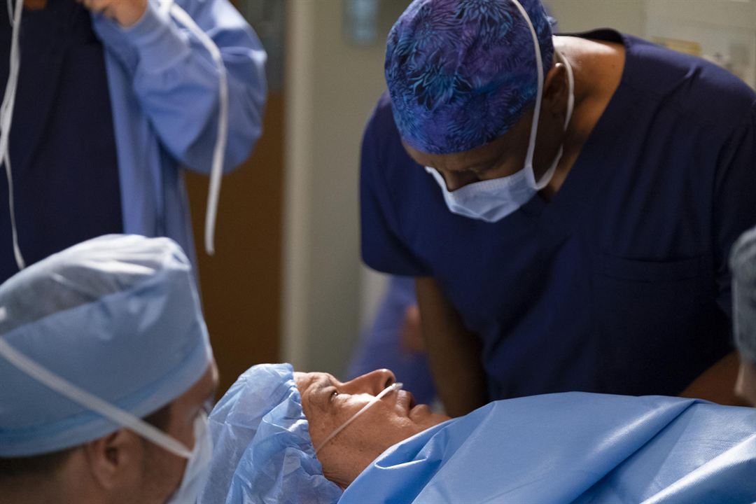 Grey's Anatomy - Die jungen Ärzte : Bild James Pickens Jr., Mark L. Taylor