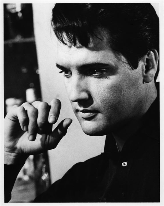 Elvis Presley: The Searcher : Bild