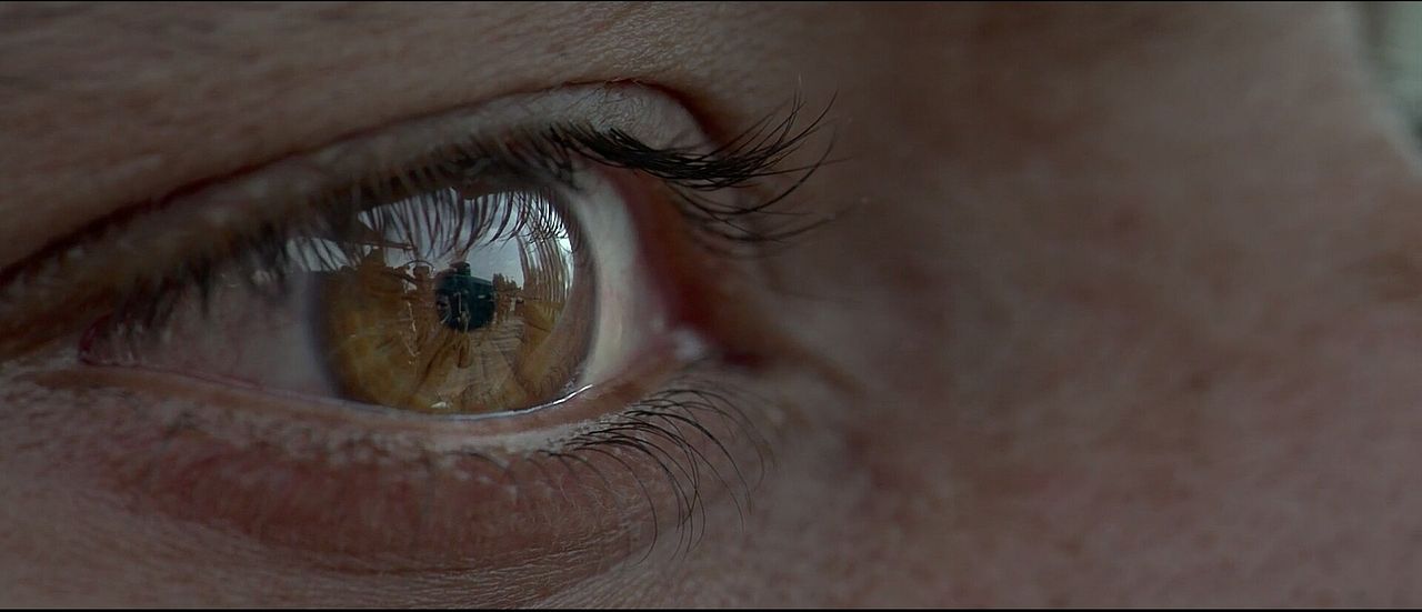 Auge um Auge - Haider : Bild