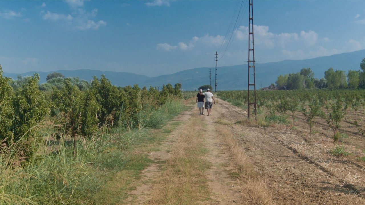 Die Schule auf dem Zauberberg : Bild