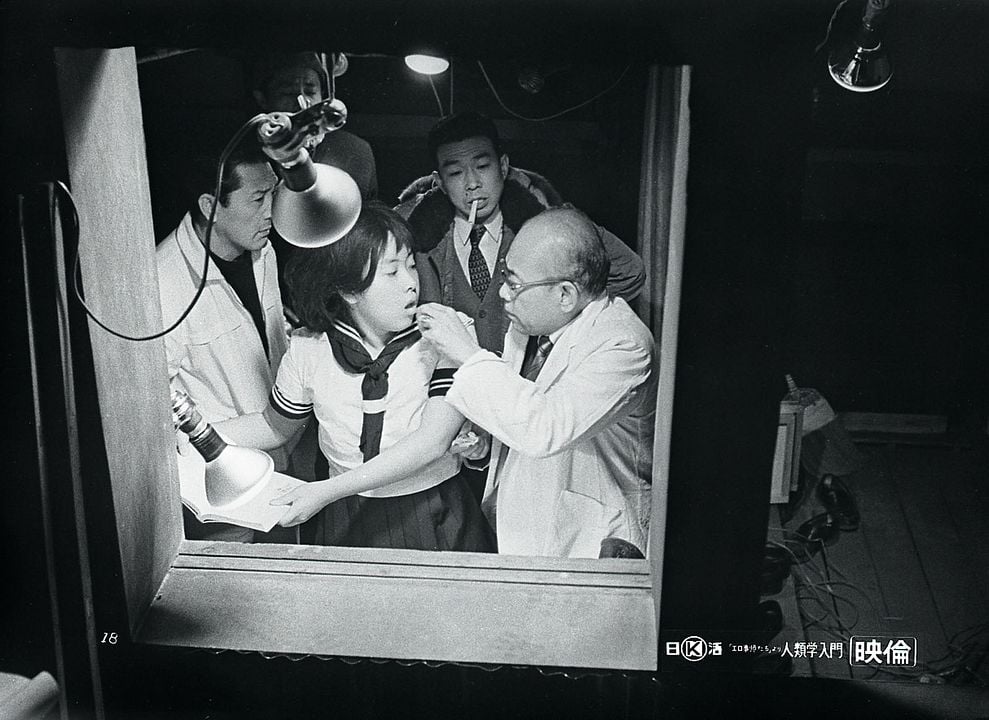 Einführung in die Menschenkunde : Bild