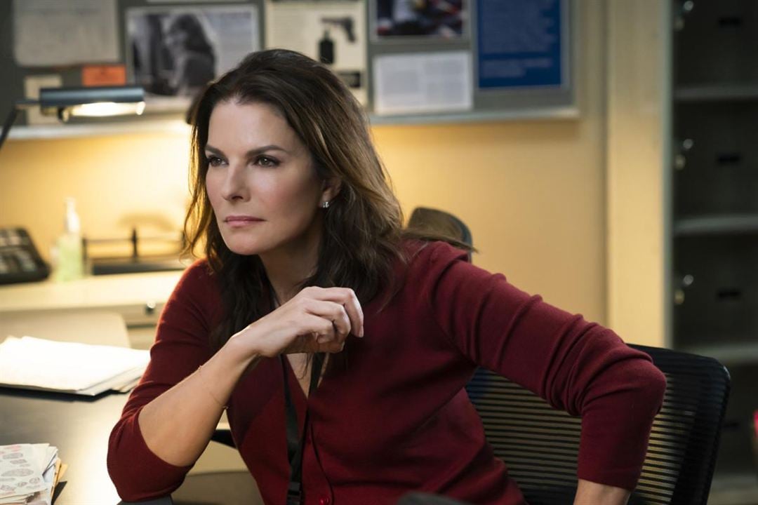 FBI: Special Crime Unit : Bild Sela Ward