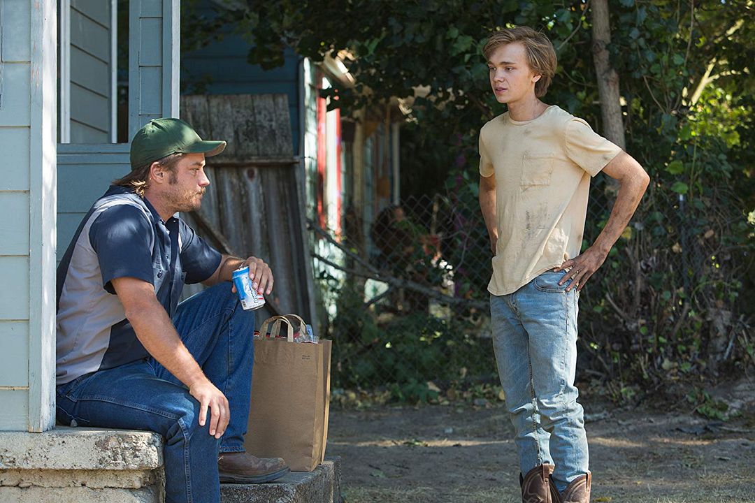Lean On Pete : Bild