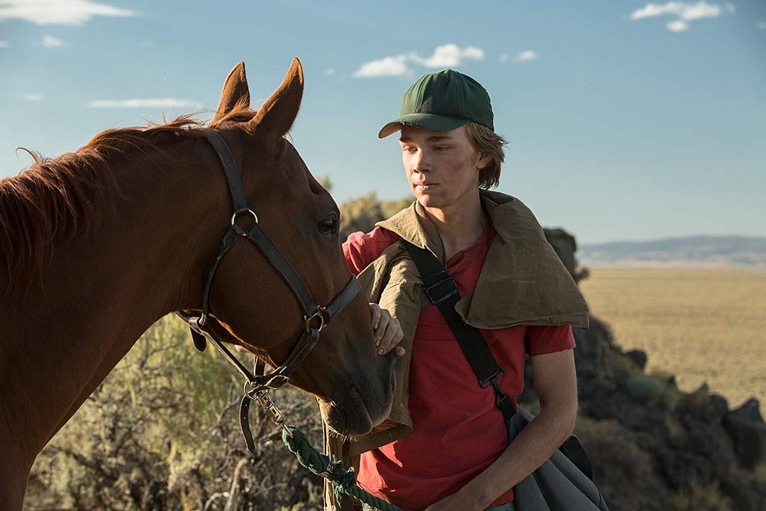 Lean On Pete : Bild