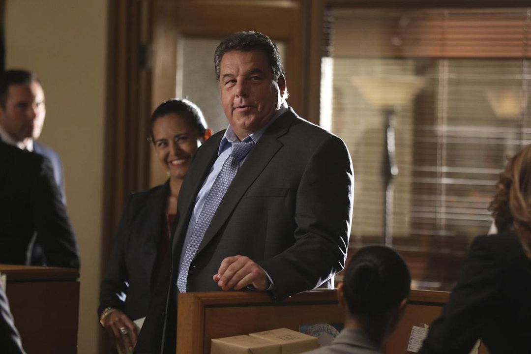 Blue Bloods : Bild Steve Schirripa